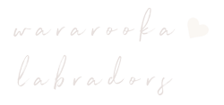 Logo Footer Reverse